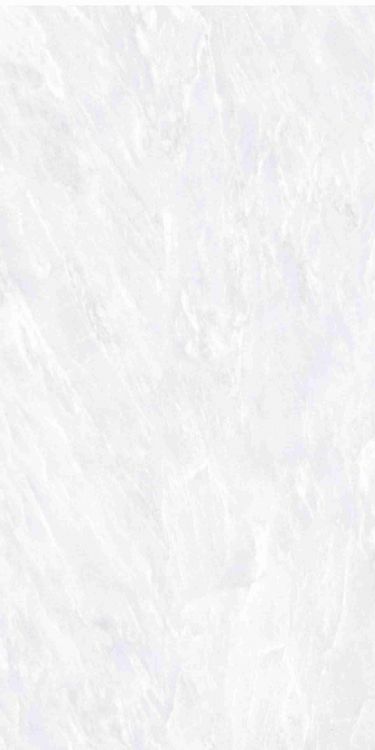 OL Vivid White Matte 12 x 24